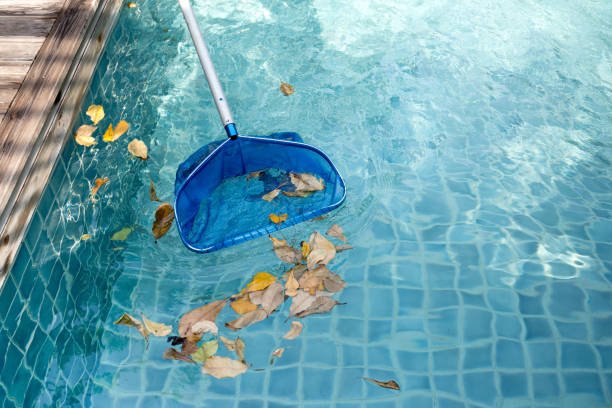 Home cleaning swimming pool of fallen leaves with blue skimmer in summer time